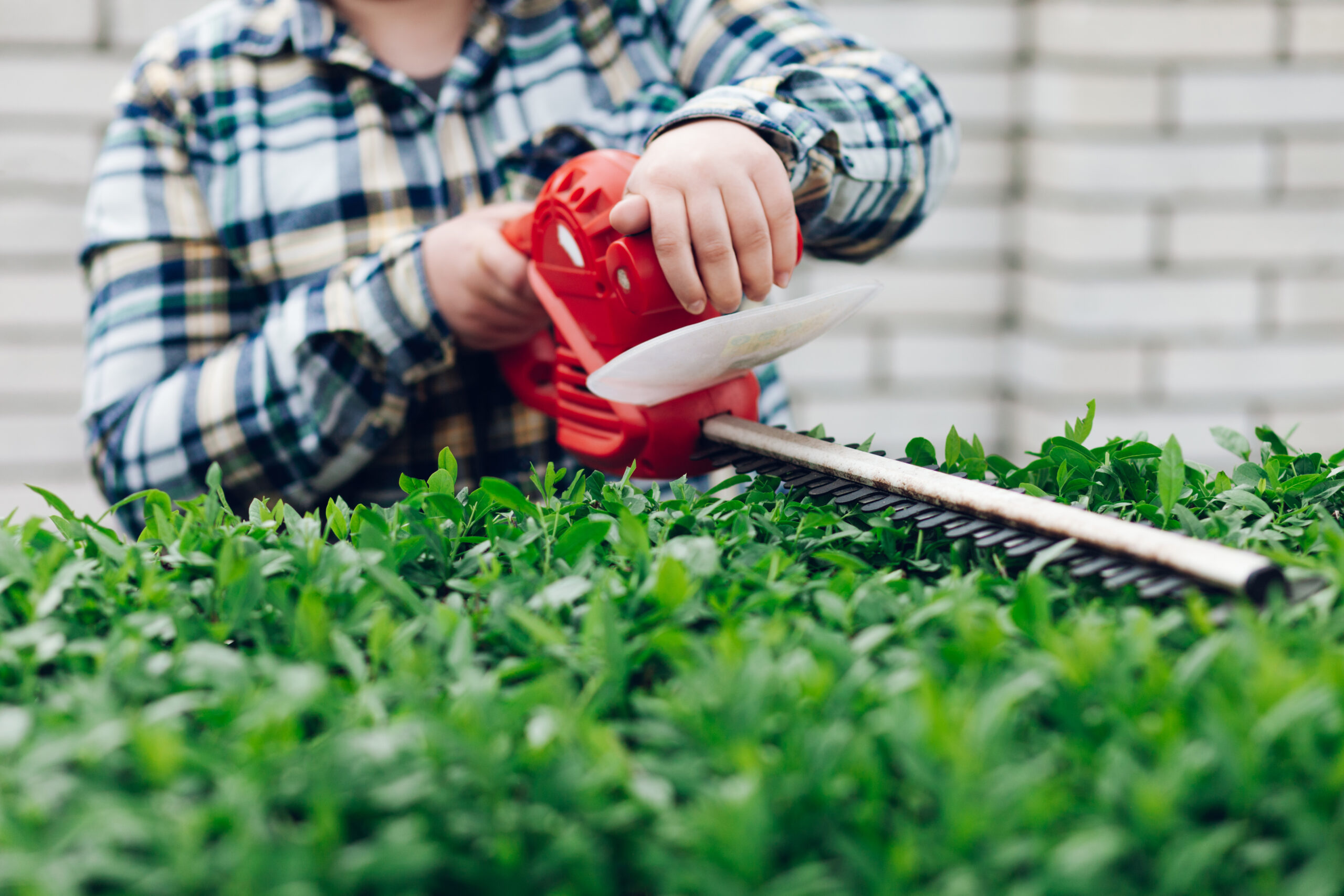 male-gardener-cutting-bushes