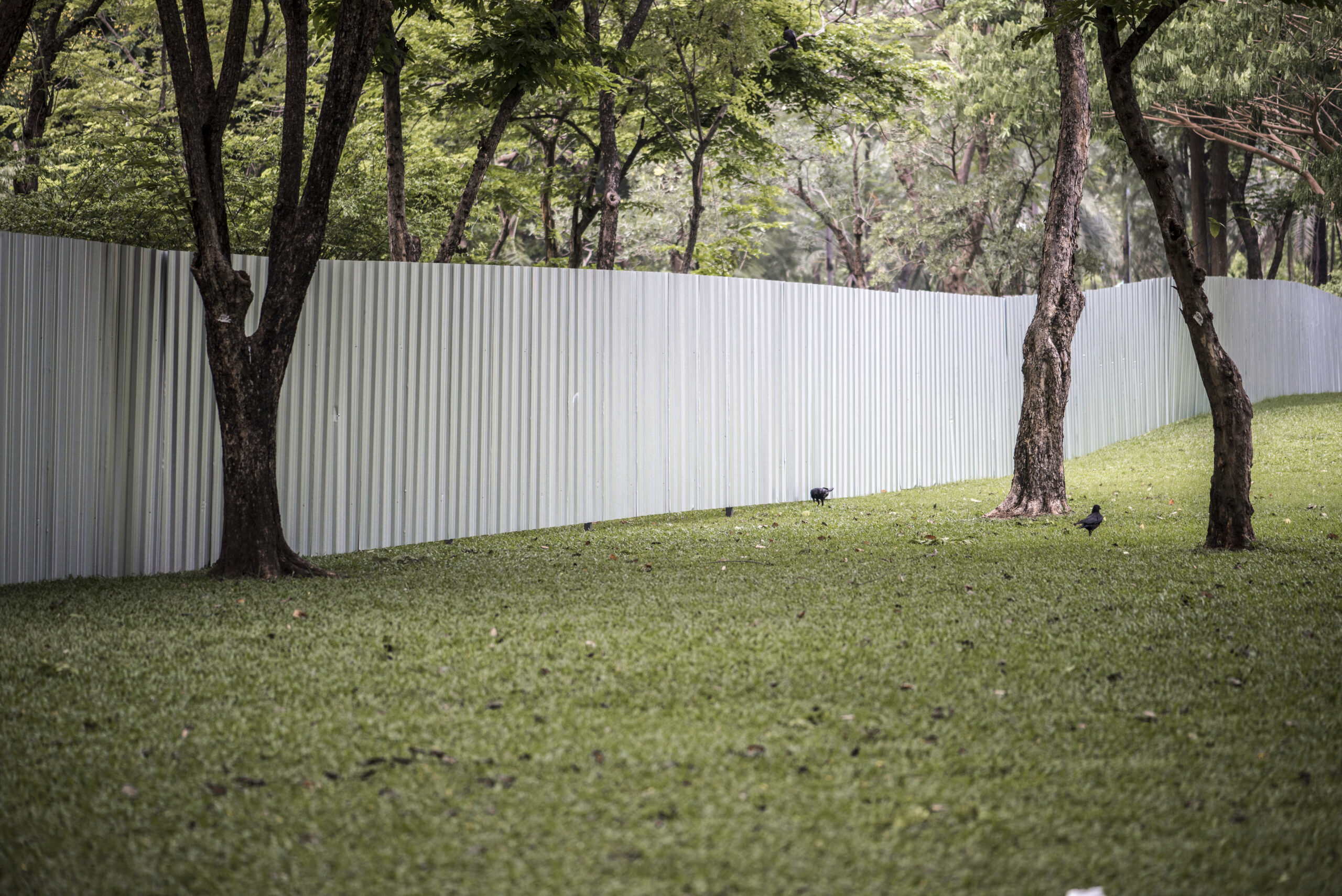 big-fence-urban-park